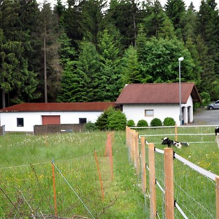 Ferienhaus Mueller 瓦门施泰纳赫 外观 照片