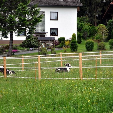 Ferienhaus Mueller 瓦门施泰纳赫 外观 照片